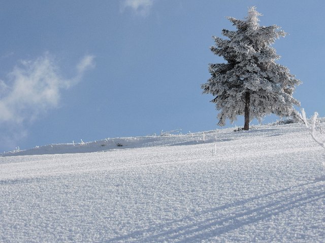 Piani di Artavaggio (15)